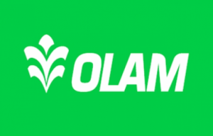 Olam
